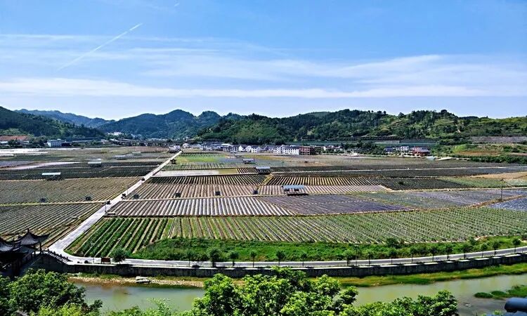 都匀市召开2024年抓党建促乡村振兴工作推进会