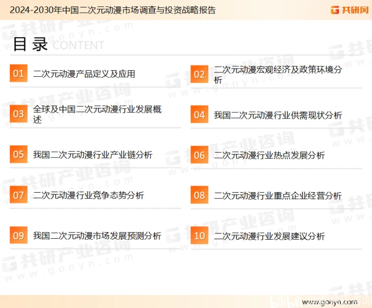 2024年中国二次元动漫行业分析