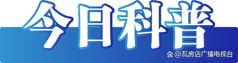 今日辟谣（2025年3月3日）