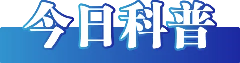 今日辟谣（2025年3月3日）