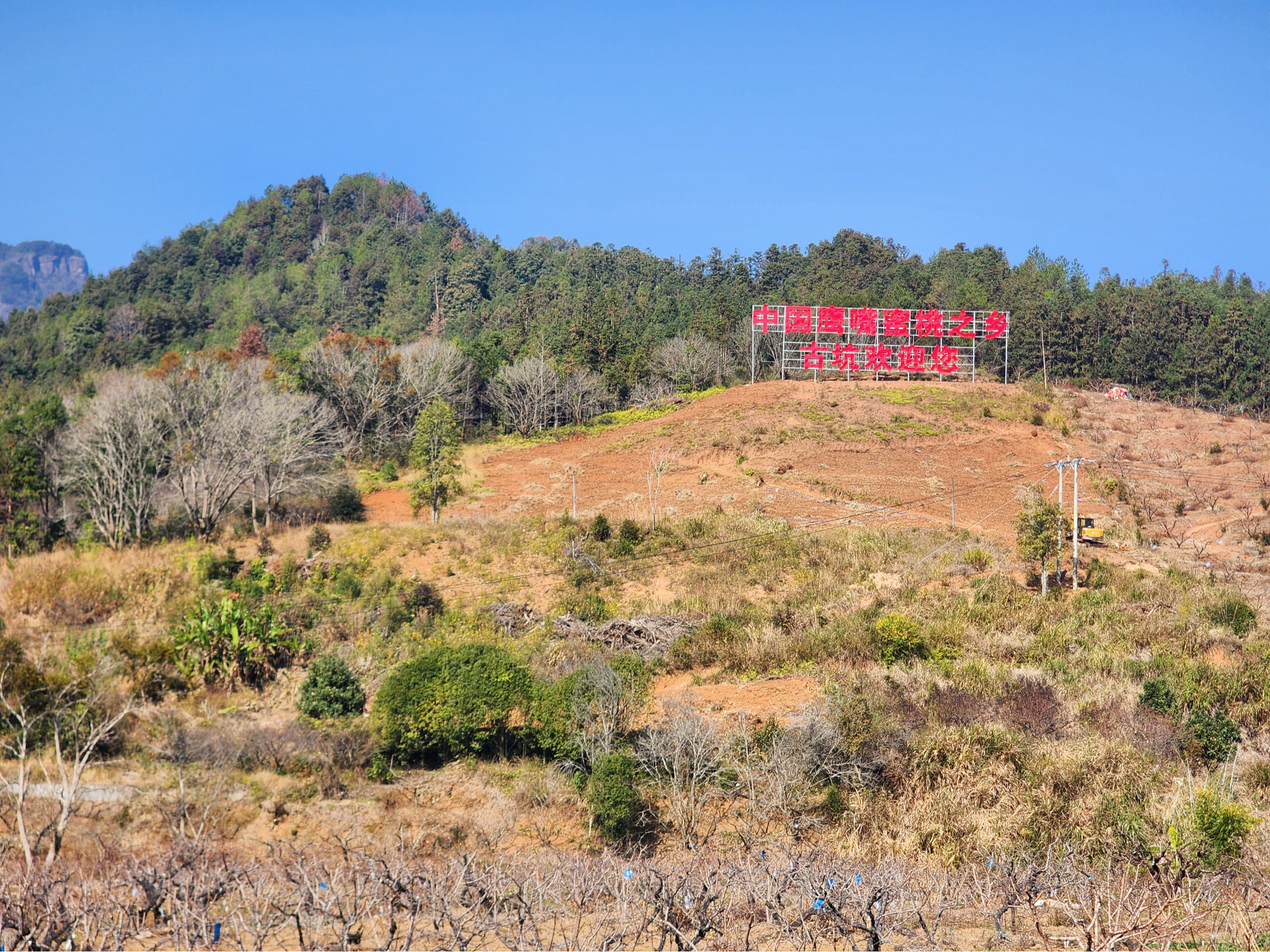 深入推进生态建设“六大行动”！广东连平解锁“绿富美”密码