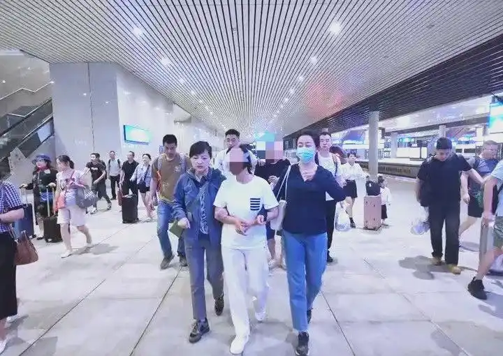 大熊猫谣言背后的网络操控与司法严惩