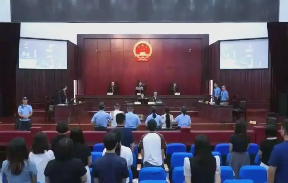 大熊猫谣言背后的网络操控与司法严惩