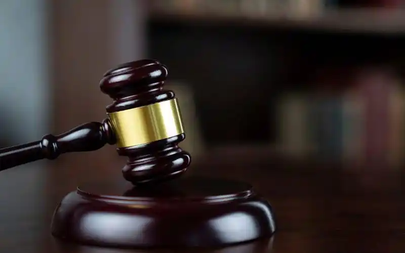大熊猫谣言背后的网络操控与司法严惩