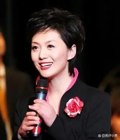 央视主持人海霞再履新职！淡出《新闻联播》的她，起码有五个身份