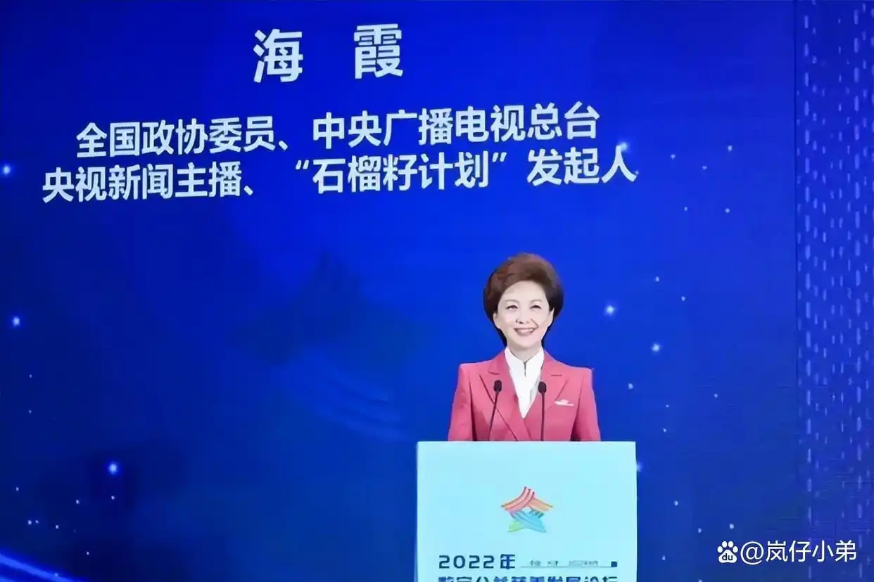央视主持人海霞再履新职！淡出《新闻联播》的她，起码有五个身份