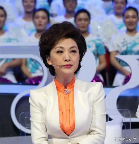 央视主持人海霞再履新职！淡出《新闻联播》的她，起码有五个身份