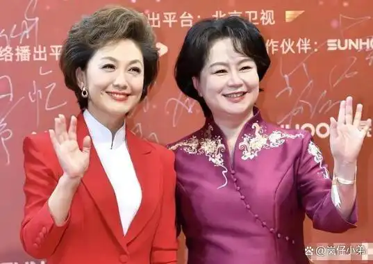 央视主持人海霞再履新职！淡出《新闻联播》的她，起码有五个身份