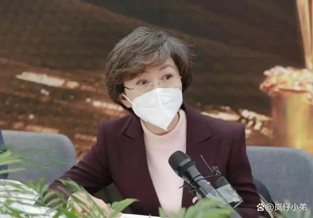 央视主持人海霞再履新职！淡出《新闻联播》的她，起码有五个身份