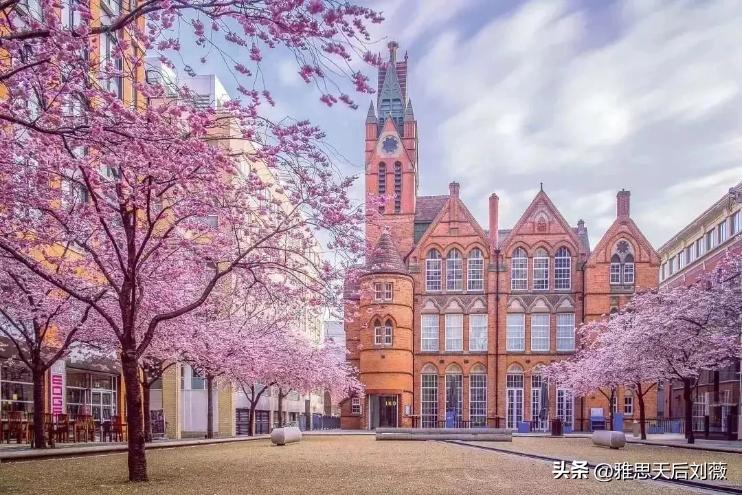 英国留学圈爆火的10所大学，大数据告诉你为啥中国留学生挤破头