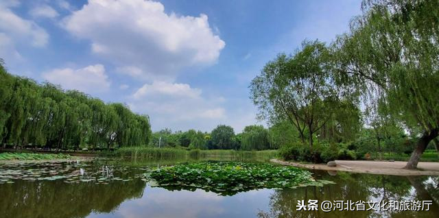 河北晋州：沧桑巨变七十载 砥砺前行向未来