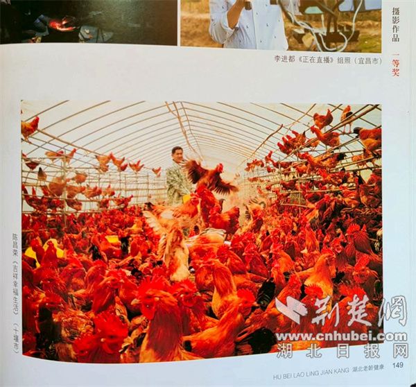 竹山摄协陈昌荣作品荣获国家级2项摄影赛大奖