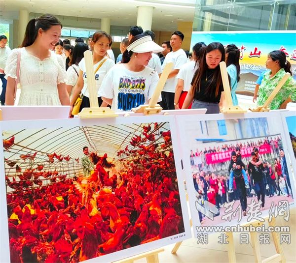 竹山摄协陈昌荣作品荣获国家级2项摄影赛大奖