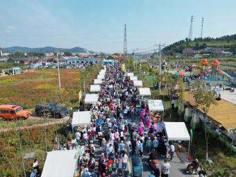 黑龙江牡丹江市阳明区：“农业+文化+旅游”融合发展模式 为乡村振兴注入新动能