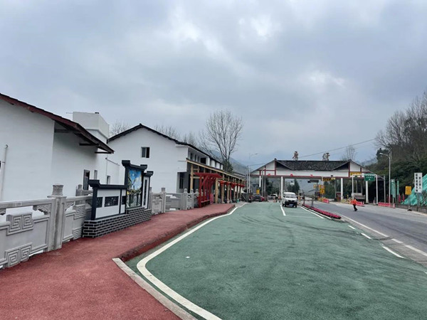 忠县磨子土家族乡：以高质量党建助力乡村振兴