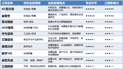 2025年中国十大市场调研咨询公司机构