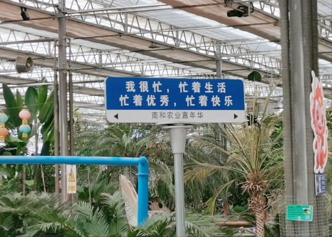 中国县市旅行第229篇——河北省.邢台市.南和区