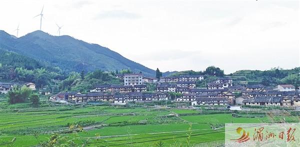 田园画卷春意浓 ——仙游县乘势而上推动乡村振兴开新局