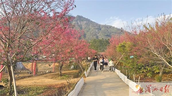 田园画卷春意浓 ——仙游县乘势而上推动乡村振兴开新局