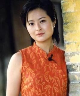 狠人张泉灵：北大学霸，央视记者，还报道阿富汗战争、非典、地震