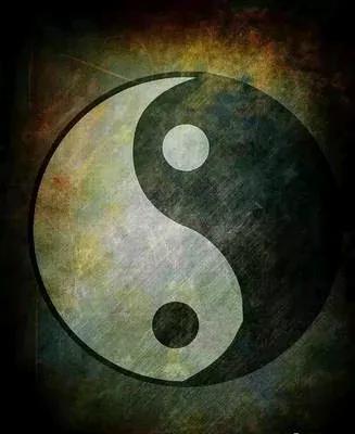 1. 屋内蜘蛛多，家中财气聚，福禄绵绵而来