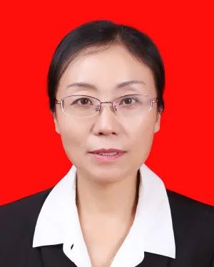 中共固原市委员会干部任前公示公告（第2号）