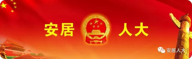 【镇街人大】深入一线促落实  代表履职绘好景