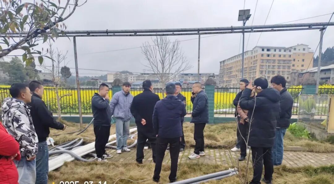 【镇街人大】深入一线促落实  代表履职绘好景