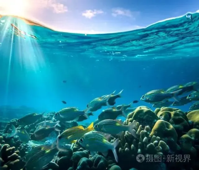 地球四大洋知识汇总之：印度洋