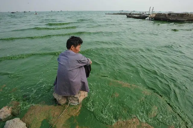 一湖臭水让“穷光蛋”富十倍？ 官方出手，2025年成网红打卡地