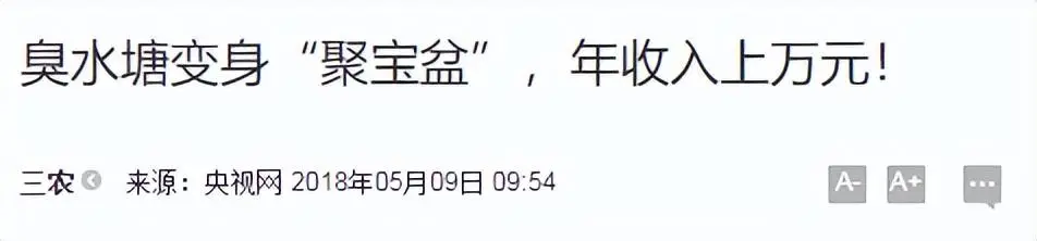 一湖臭水让“穷光蛋”富十倍？ 官方出手，2025年成网红打卡地