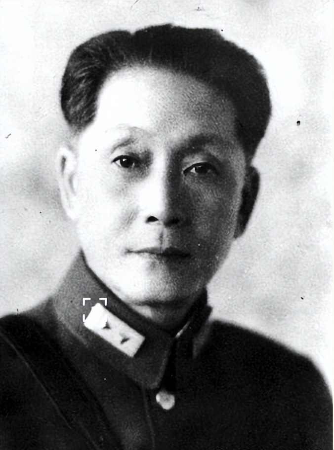 蒋百里和毛泽东，到底是谁先提出的“持久战”？