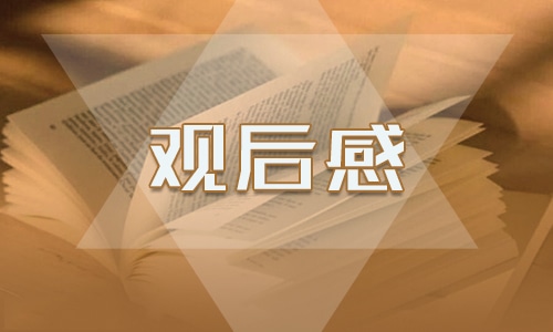 2023湖南卫视新闻大求真安全教育日观后感心得体会