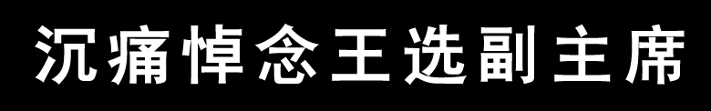 闵维方:深切悼念王选老师