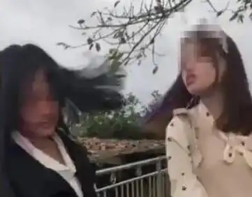 “预防校园霸凌”提案受关注 对话起草人：走访7校问卷百份，欺凌事件让我很痛心