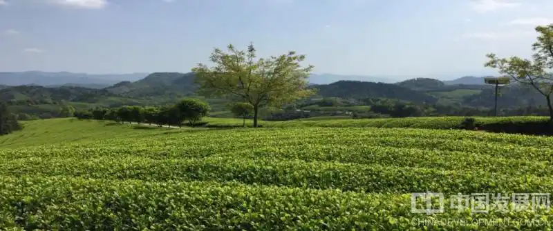 这项浙江全省试点，武义县入选
