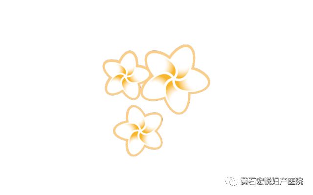 宏悦妇儿丨弄潮涛头，锐意进取——记第二届妇幼医疗高峰论坛