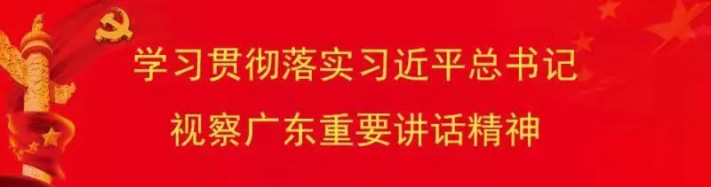 判处各类犯罪分子319人！连州市法院增强群众获得感幸福感安全感