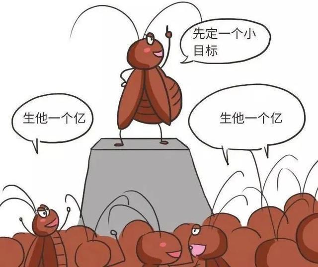 家里发现好几个蟑螂卵鞘，是不是意味着有十几只蟑螂？