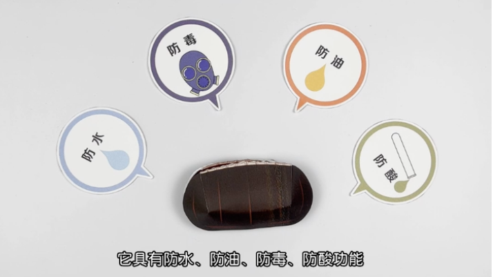 家里发现好几个蟑螂卵鞘，是不是意味着有十几只蟑螂？