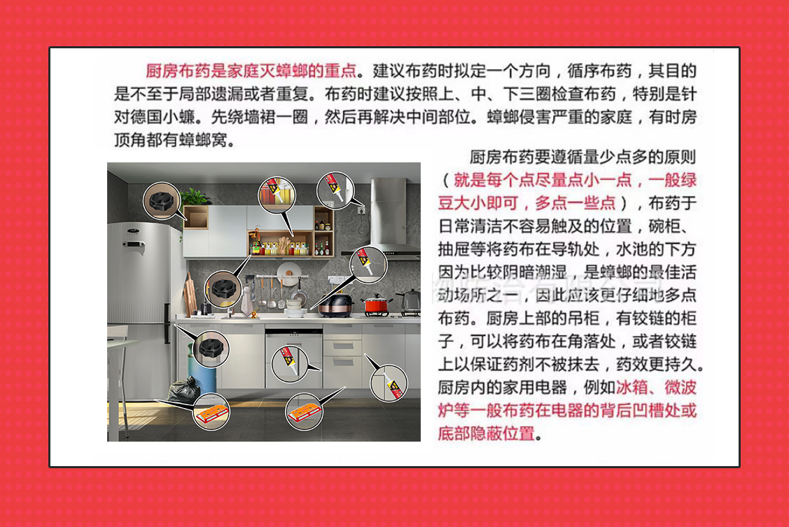 家里发现好几个蟑螂卵鞘，是不是意味着有十几只蟑螂？