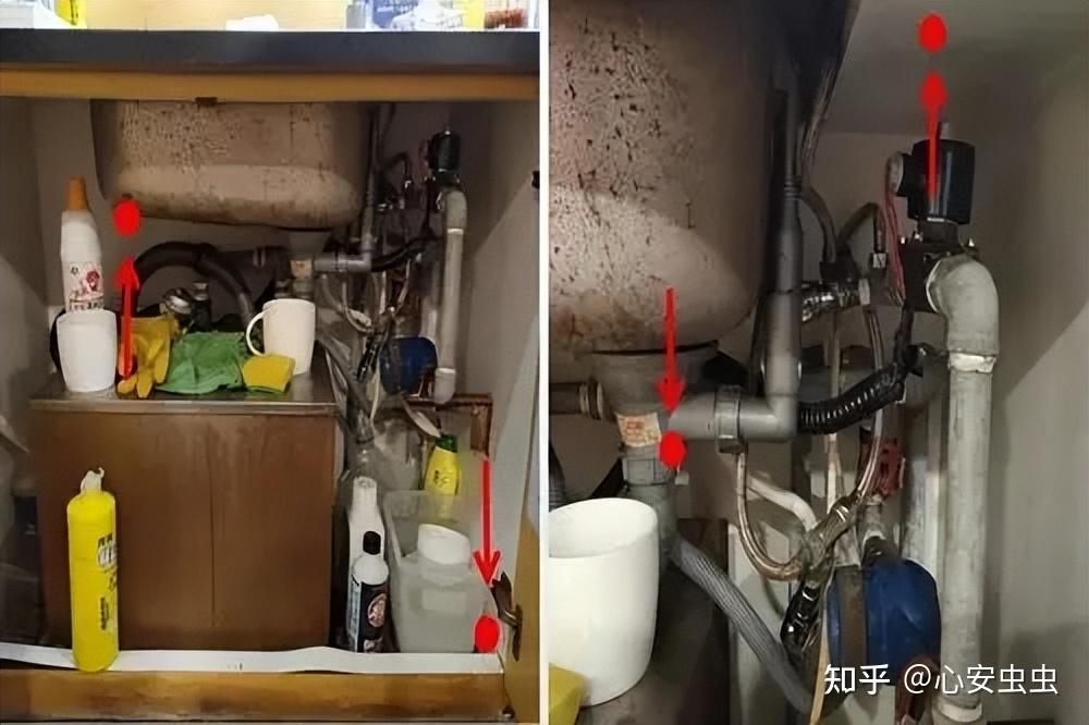 家里很干净，蟑螂到底是从哪里来的？