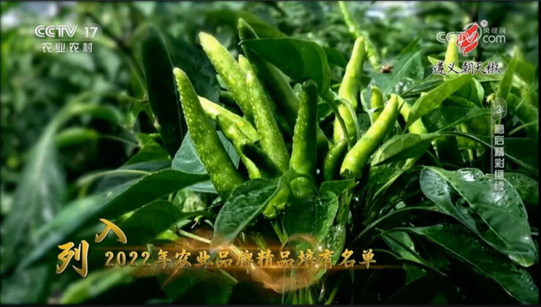 珠遵协作助力遵义提升农业品牌影响力