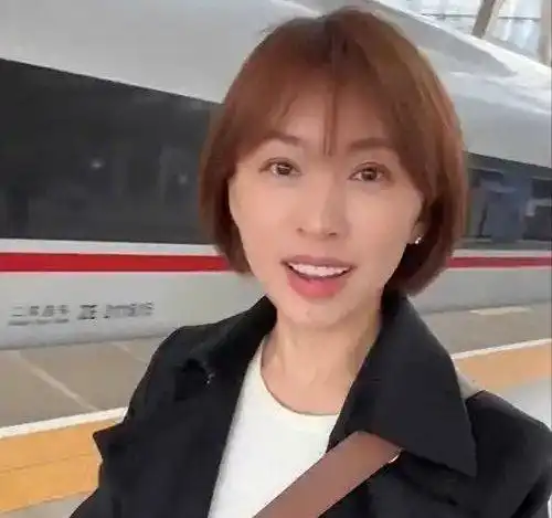 主持人欧阳夏丹，离开央视后几乎没有固定的职业，46岁还是单身