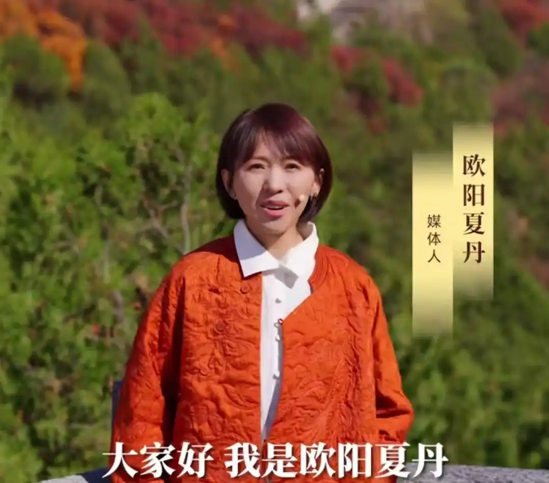 主持人欧阳夏丹，离开央视后几乎没有固定的职业，46岁还是单身