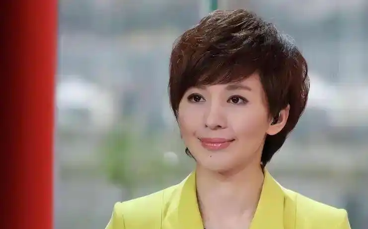 主持人欧阳夏丹，离开央视后几乎没有固定的职业，46岁还是单身