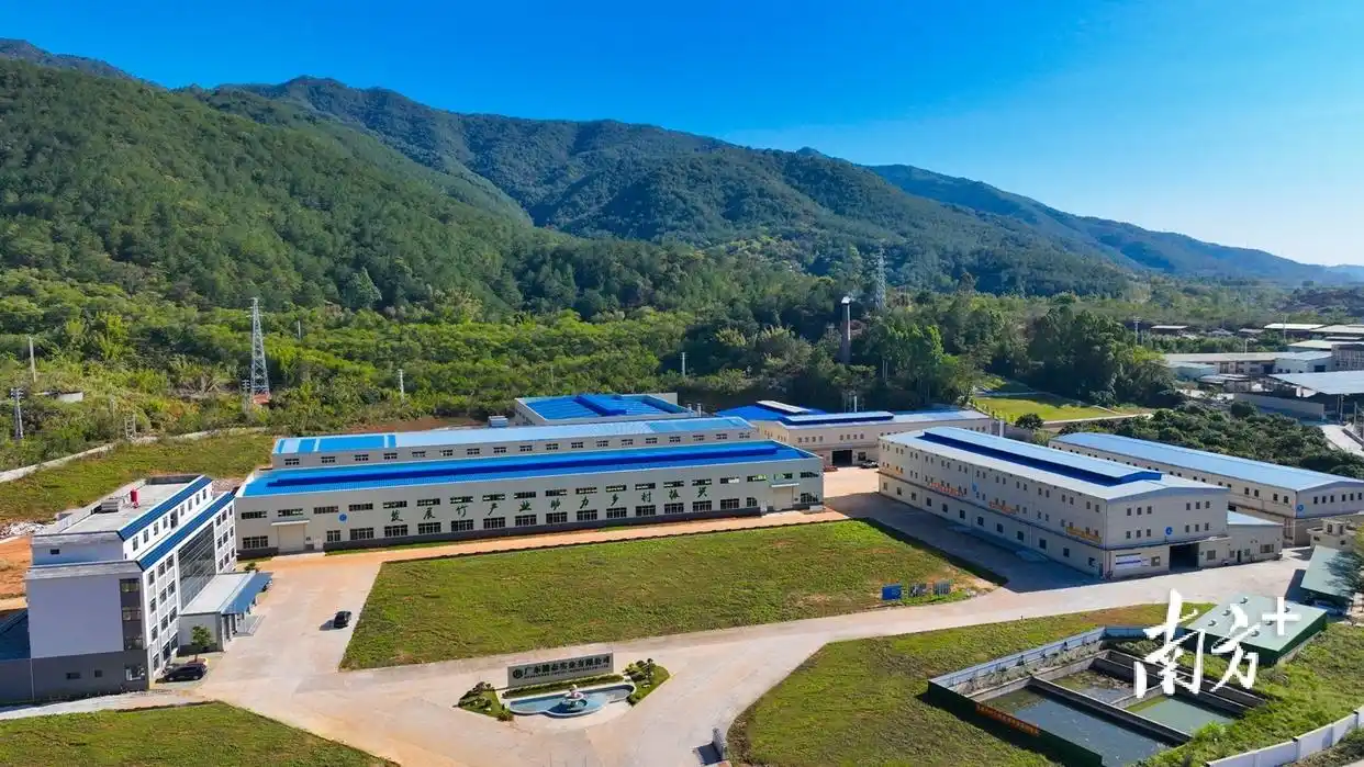 高质量 开新局｜梅州蕉岭：聚焦融湾 竞逐入海