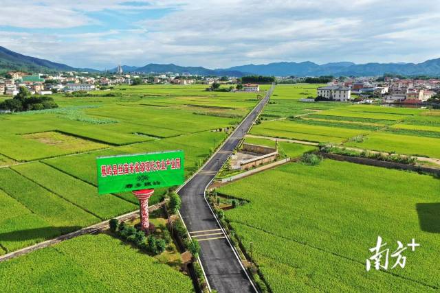 蕉岭打造梅州苏区融湾先行区综合示范窗口｜县委书记打擂台·第三季