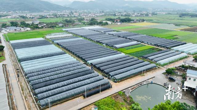 蕉岭打造梅州苏区融湾先行区综合示范窗口｜县委书记打擂台·第三季