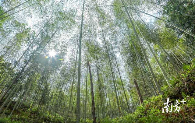 蕉岭打造梅州苏区融湾先行区综合示范窗口｜县委书记打擂台·第三季